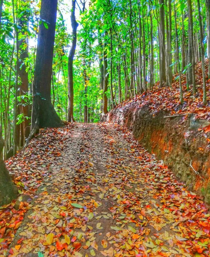 Boo Kirinda Holiday Resort Badulla Εξωτερικό φωτογραφία